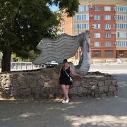 ���������� ��������, ���� ������� ������, 56 ���, ������������ ��� c�������� ���������, ���������