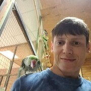 ���������� ������������, ���� ������� ������, 36 ���, ������������ ��� ������, ����� � ���������