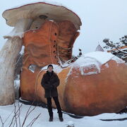 ���������� ��������, ���� ������� ����, 64 ����, ������������ ��� ������, ����� � ���������, c�������� ���������