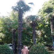  ,   , 39 ,     , c 