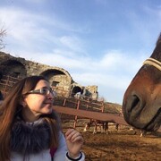 ���������� ������, ���� ������� ���������, 34 ����, ������������ ��� ������, ����� � ���������, c�������� ���������