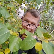  ,   , 54 ,   ,   , c 