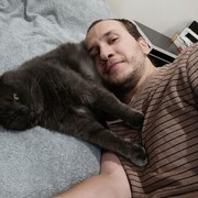 ���������� �����, ���� ������� ���������, 31 ���, ������������ ��� ����� � ���������, c�������� ���������