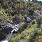  ,   Tomas, 40 ,   ,   , c 