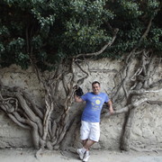   ,   , 45 ,   
