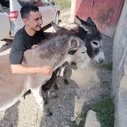  ,   , 29 ,   ,   