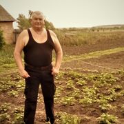  ,   , 65 ,   