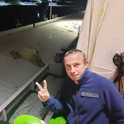 ���������� ���������, ������� �����, 44