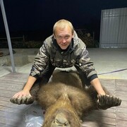 ���������� �����, ���� ������� �������, 40 ���, ������������ ��� ������, ����� � ���������, c�������� ���������