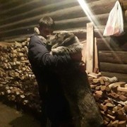 ���������� ��������, ���� ������� ����, 39 ���, ������������ ��� ������, ����� � ���������, c�������� ���������