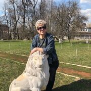 ���������� ������, ���� ������� �������, 66 ���, ������������ ��� ������, ����� � ���������, c�������� ���������