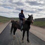  ,   Armen, 50 ,   ,   