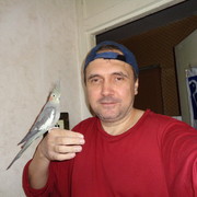  ,   , 52 ,   ,   , c 