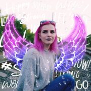  --,   , 24 ,   