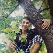  ,   , 47 ,  