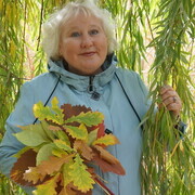 ���������� ������, ���� ������� �����, 62 ����, ������������ ��� ������, ����� � ���������, c�������� ���������