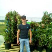 ���������� ���������, ���� ������� Alexander, 39 ���, ������������ ��� ������, ����� � ���������