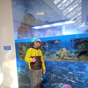 ���������� �����-���������, ���� ������� ������, 32 ����, ������������ ��� ������, ����� � ���������