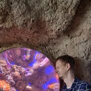 ���������� ������, ���� ������� ��������, 40 ���, ������������ ��� ������, ����� � ���������, c�������� ���������