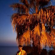 ���������� ���������, ���� ������� ���������, 43 ����, ������������ ��� ������, ����� � ���������, c�������� ���������