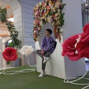  ,   , 24 ,   ,   