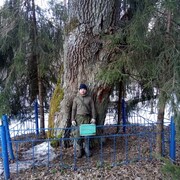  ,   , 38 ,     , c , 
