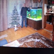 ,   , 66 ,   ,   , c 