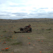 ���������� ���������, ���� ������� �����, 63 ����, ������������ 