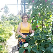  ,   , 68 ,     , c 