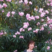 ���������� ���������, ���� ������� ���������, 61 ���, ������������ ��� c�������� ���������, ���������