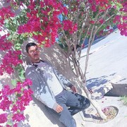  ,   Abbes, 33 ,   ,   , c , 