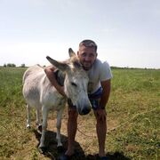 ���������� ���������, ���� ������� ������, 48 ���, ������������ ��� ������, ����� � ���������, c�������� ���������, ���������