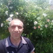  ,   Zoro, 45 ,   ,   , c 