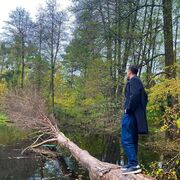 ���������� ����, ���� ������� �����, 28 ���, ������������ ��� ���������