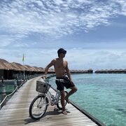 ���������� ���������, ���� ������� ����, 37 ���, ������������ ��� ������, ����� � ���������, c�������� ���������, ���������