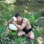 ���������� �����������-��-�����, ���� ������� ����, 38 ���, ������������ ��� c�������� ���������