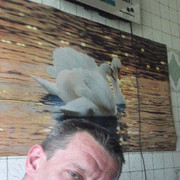 ���������� ��������, ���� ������� ������, 48 ���, ������������ ��� ������, ����� � ���������, c�������� ���������