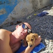 ���������� �����������, ���� ������� ����, 33 ����, ������������ ��� ������, ����� � ���������, c�������� ���������