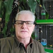  ,   , 66 ,   c 