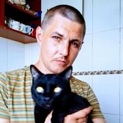 � � �������