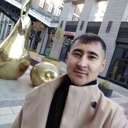 ���������� ���, ���� ������� Archi, 31 ���, ������������ ��� ������, ����� � ���������