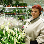 ���������� ������-��-����, ���� ������� �����, 44 ����, ������������ ��� ����� � ���������, c�������� ���������