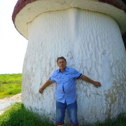  ,   , 65 ,   ,   