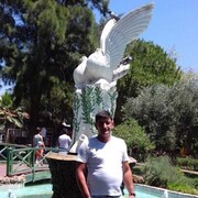  ,   , 42 ,   ,   