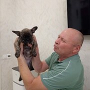 ���������� ��������, ���� ������� ������, 62 ����, ������������ ��� ������, ����� � ���������