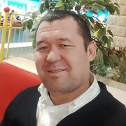  -,   , 43 ,   ,   