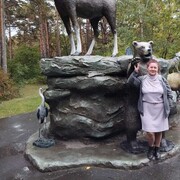 ���������� ������, ���� ������� �����, 53 ����, ������������ ��� ������, ����� � ���������, c�������� ���������