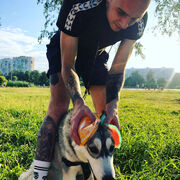 ���������� �����-���������, ���� ������� ����, 31 ���, ������������ ��� ������, ����� � ���������, c�������� ���������, ���������