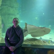 ���������� ������, ���� ������� ����, 30 ���, ������������ ��� c�������� ���������