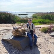 ���������� �������, ���� ������� ������, 38 ���, ������������ ��� ������, ����� � ���������